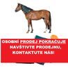 BEMER Horse Hals - Krční Aplikátor