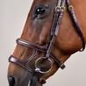Uzdečka Dy'on Double Noseband DYAAAH