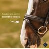 Uzdečka Equiservis Anatomická anglický nánosník