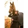 Ohlávka Cavallo Cavalrose Kolekce 2026/27