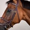 Uzdečka Dy'on Double Noseband DYAAAH