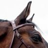Uzdečka CWD Hackamore BR20HAC