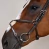 Uzdečka Dy'on Figure 8 Noseband Bridle WOAQHC