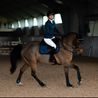 Podsedlová dečka Equestrian Stockholm Blue Meadow Glimmer KOLEKCE