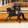 Čabraka na uši Equestrian Stockholm Pink Glimmer Kolekce 2026/27