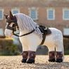 Čabraka na uši LeMieux Toy Pony Heritage Kolekce 2026/27