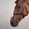 Uzdečka Dy'on Figure 8 Noseband Bridle DYAAAC