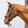 Speciální udidlo Hackamore Dy'on DY-14003