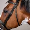 Uzdečka Dy'on Wide Noseband Hunter USKDAL