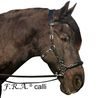 Uzdečka s hackamore F.R.A. Calli
