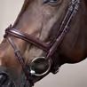 Uzdečka Dy'on Flash Noseband Bridle NEAAAA