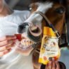 Pamlsky Candy Horse Jellies by Jelly Horse 300g
