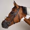 Uzdečka Dy'on Figure 8 Noseband Bridle WOAQHC