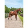 Podsedlová dečka Equestrian Stockholm Satin Chestnut Kolekce 2026/27