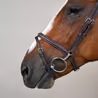Uzdečka Dy'on Flash Noseband Bridle with Snap Cheekpieces WOAPGB