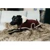 Deka na psa Kentucky Heavy Fleece KOLEKCE