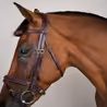 Uzdečka Dy'on Plaited Flash Noseband DYAOAK