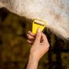 Zastřihovač chloupků Horse Athlere Smar Grooming Equi-Shave
