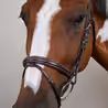 Uzdečka Dy'on Flash Noseband Bridle USAAAA
