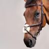 Uzdečka Dy'on Figure 8 Noseband Bridle DYAAAC