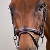 Uzdečka Dy'on Flash Noseband DYAAAA