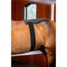 Deka Horseware® LED Red Light Therapy Pad