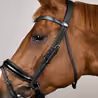 Uzdečka Dy'on Patent Large Crank Noseband Bridle With Flash WODCAN
