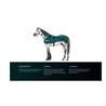 BEMER Horse-Set Perfect Duo