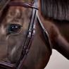 Uzdečka Dy'on Flash Noseband Bridle NEAAAA