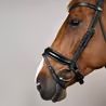 Uzdečka Dy'on Patent Large Crank Noseband Bridle With Flash WODCAN