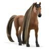Schleich 42621 - Výstavní achaltekinský hřebec