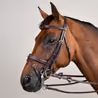 Uzda Dy'on Flash Noseband Double DYLAAA