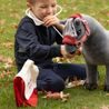 Veterinární taška LeMieux Toy Pony Vet Set Multi Kolekce 2026/27