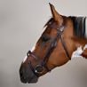 Uzdečka Dy'on Flash Noseband Bridle USAAAA
