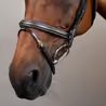 Uzdečka Dy'on Flash Noseband Bridle DY-10002