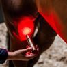 Svítilna set Horseware® LED Red Light Therapy Wand