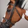 Uzdečka Dy'on Double Noseband USAAAH