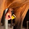 Zastřihovač chloupků Horse Athlere Smar Grooming Equi-Shave