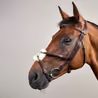 Uzdečka Dy'on Figure 8 Noseband Bridle DYAAAC