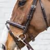 Uzdečka Dy'on Medium Flash Noseband Bridle Soft SO-10004