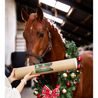 Kousací dřevěná hračka pro koně Candy Horse Christmas Reindeer Chew