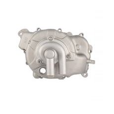 COMPLETE WATER PUMP RMS 100110610