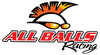 ALL BALLS RACING