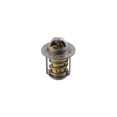 TERMOSTATS RMS 100120790