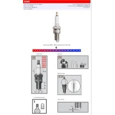 CHAMPION S-SPRUGA AIZDEDZES SVECE OE006