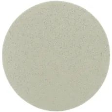 TRIZAC DISCS 150 MM P3000