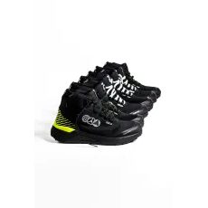 APAVI SIDI NUCLEUS THE ARSENALE (MELNS, DZELTENS)