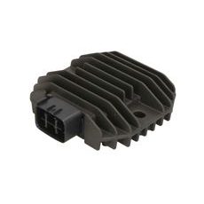 REGULATORS/TAISNGRIEZIS TOURMAX RGU-210