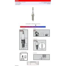 CHAMPION S-SPRUGA AIZDEDZES SVECE OE231