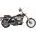 Izplūdes sistēma EXH RR HS 06-11 FXD BK for Harley Davidson FXD 1584 (tērauds)